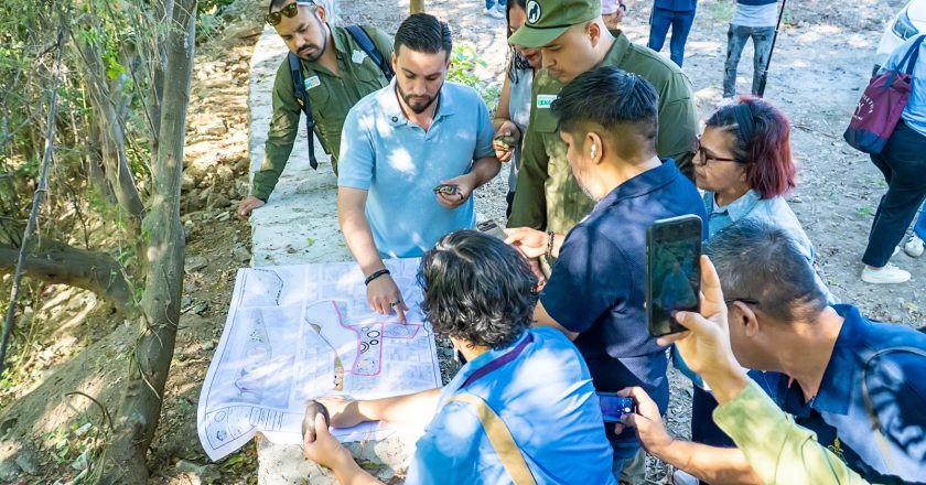 Gobierno de Munguía prioriza la conservación de la Tortuga Casquito en Vallarta