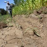 El campo mexicano abandonado y en bancarrota