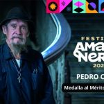 Medalla al Mérito Artístico