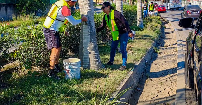 Alistan la Francisco Medina Ascencio para la temporada vacacional