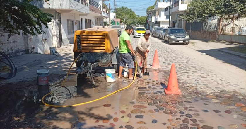 SEAPAL Vallarta: pasión por servir que no descansa ni en Navidad