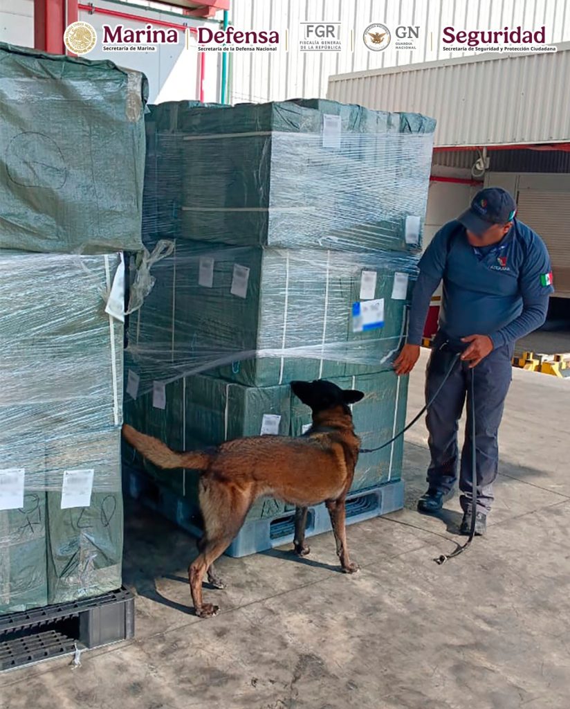 Autoridades federales aseguran cerca de 20 toneladas de tabaco ilegal en el AICM