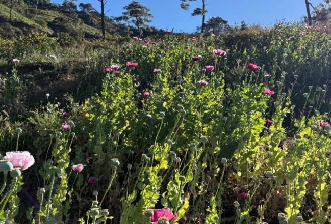 La Mesa de Construcción de Paz y Seguridad, da resultados positivos