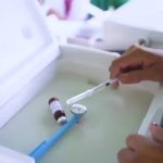 Con medidas de prevención se puede evitar problemas mayores de Salud