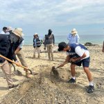 Turiimar en coordinación con autoridades realizan limpieza de playas