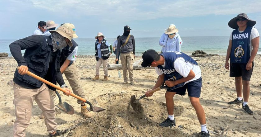 Turiimar en coordinación con autoridades realizan limpieza de playas