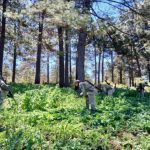 Gobierno de Nayarit encabeza coordinación de seguridad y reporta resultados de operativos