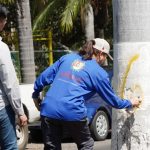Inicia Gobierno de Nayarit análisis técnico de palmas en avenida Jacarandas