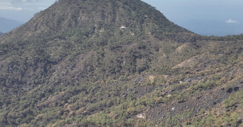 Coordinación entre Gobierno de Nayarit, Federación y municipios controla incendios forestales en la entidad