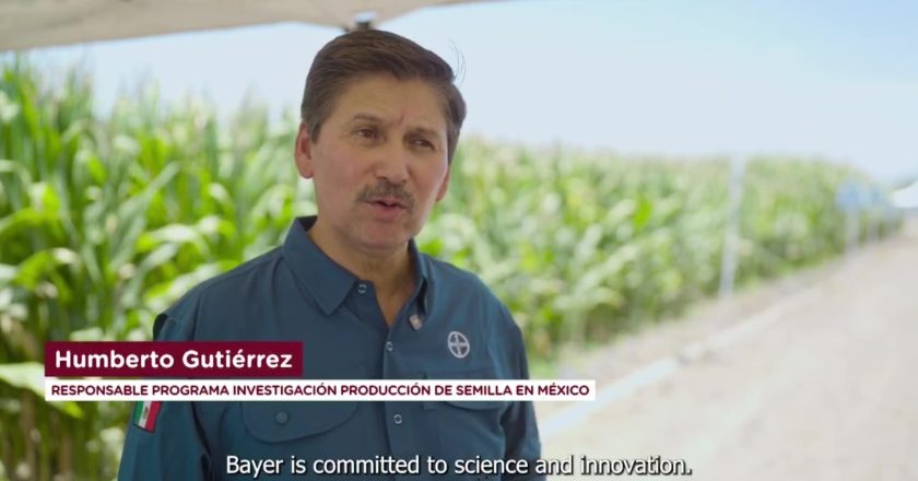 Grandes empresas tienen confianza y continúan creciendo en Nayarit