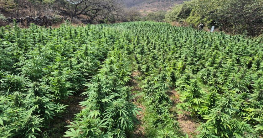 Coordinación en la Mesa Estatal de Construcción de la Paz da resultados en seguridad