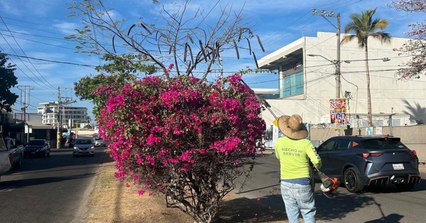 SISEP Continúa con los Trabajos de Embellecimiento del Municipio