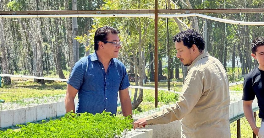 Conagua, Conafor y gobierno estatal de Nayarit impulsan reforestación en la Cuenca del Río Mololoa