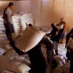 Debemos respaldar al campo y apostar por quienes diario trabajan la tierra: Navarro