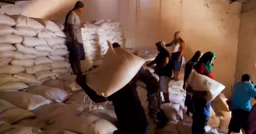 Debemos respaldar al campo y apostar por quienes diario trabajan la tierra: Navarro