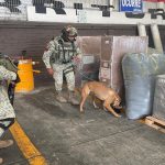 Intensifica Nayarit acciones de seguridad en zonas prioritarias con coordinación interinstitucional