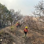 Continúan labores de control y liquidación de incendio en el Cerro El Vigía, en La Yesca