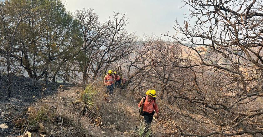 Continúan labores de control y liquidación de incendio en el Cerro El Vigía, en La Yesca