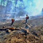 COFONAY atiende y controla conato de incendio en el cerro de San Juan, en Xalisco