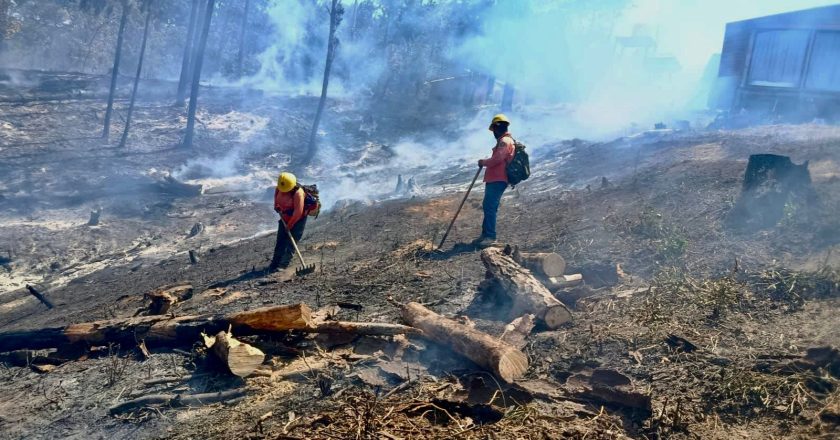 COFONAY atiende y controla conato de incendio en el cerro de San Juan, en Xalisco