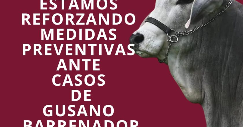 Gobierno de Bahía de Banderas refuerza medidas preventivas ante casos de gusano barrenador