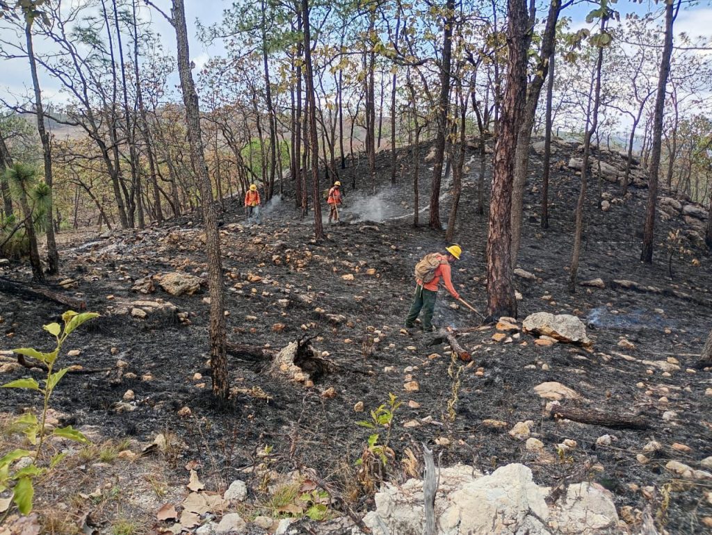 Controlan incendio forestal interestatal en “Loma de los Lobos”, en Ixtlán del Río