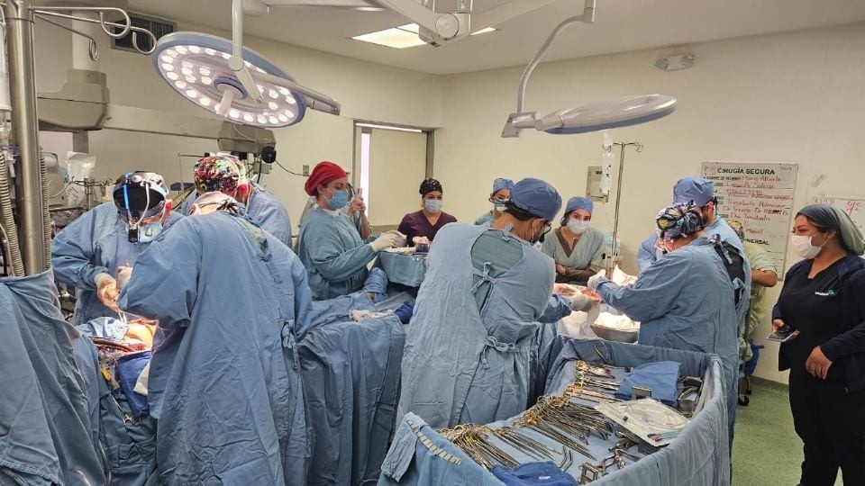 Realizan hospitales del IMSS en Nuevo León, al menos un trasplante diario en 2026
