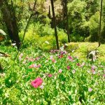 Coordinación y prevención fortalecen la tranquilidad de las familias nayaritas