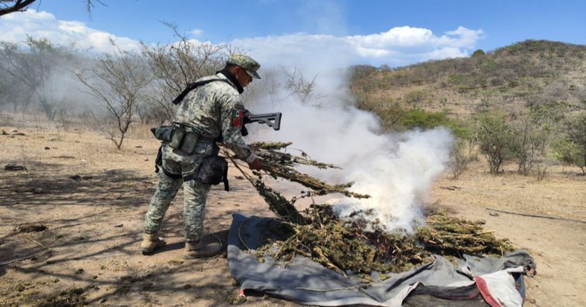Coordinación institucional y prevención fortalecen la tranquilidad en Nayarit