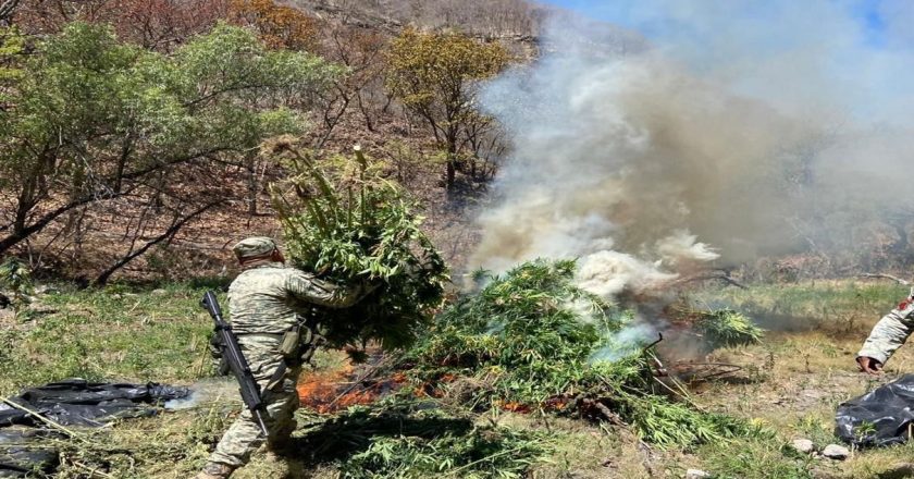 En Nayarit se fortalece la paz con prevención, cercanía y trabajo comunitario