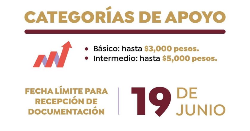 Gobierno de Bahía de Banderas impulsa a emprendedores con programa municipal de apoyo económico