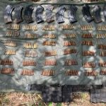 Coordinación institucional fortalece la paz y la seguridad en Nayarit