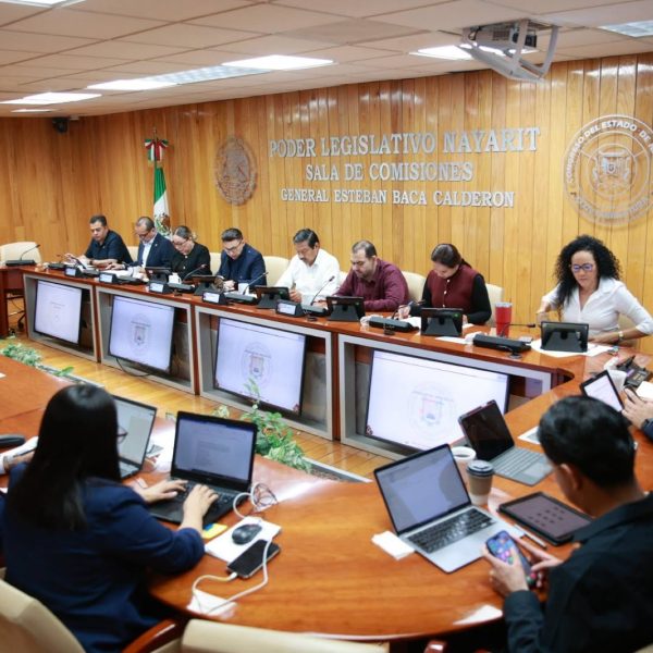 Analiza Congreso perfiles de aspirantes a la titularidad de la ASEN