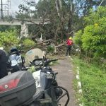 Gobierno de Nayarit fortalece acciones preventivas para garantizar la seguridad en el Parque Lineal de Tepic