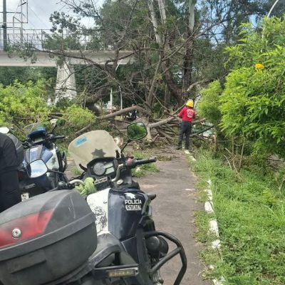 Gobierno de Nayarit fortalece acciones preventivas para garantizar la seguridad en el Parque Lineal de Tepic