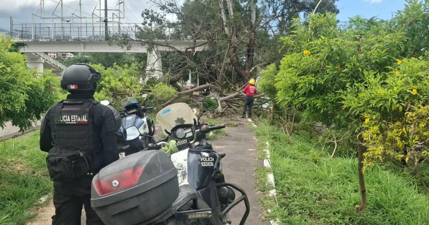 Gobierno de Nayarit fortalece acciones preventivas para garantizar la seguridad en el Parque Lineal de Tepic