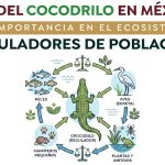 Proteger al Cocodrilo es proteger nuestros ecosistemas