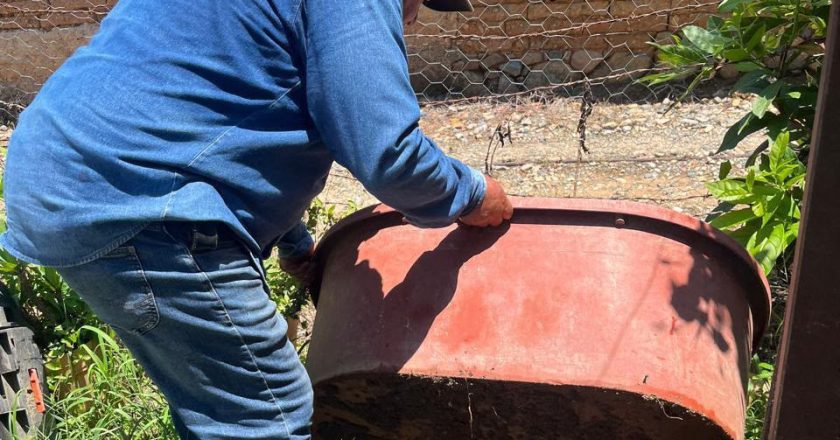 Servicios de Salud refuerzan acciones contra el dengue en Amatlán de Cañas