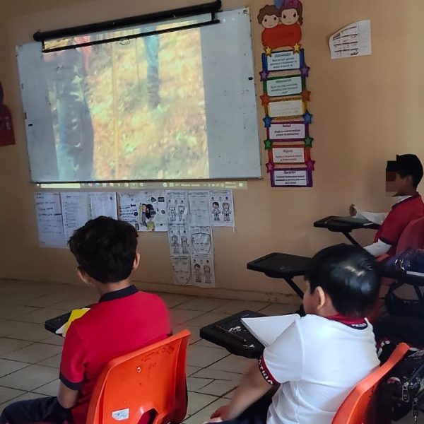 COFONAY fortalece la cultura forestal entre niñas y niños