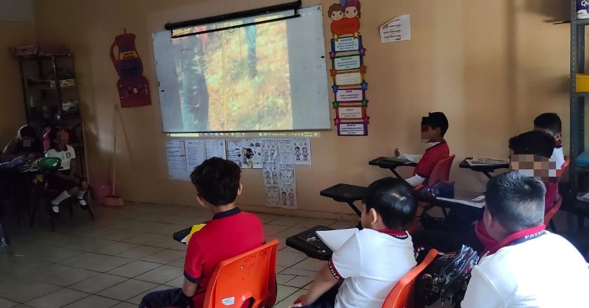 COFONAY fortalece la cultura forestal entre niñas y niños