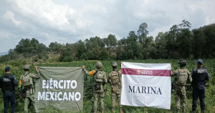 Nayarit refuerza vigilancia y acciones preventivas para preservar la tranquilidad