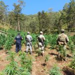 Gobierno de Nayarit refuerza presencia en La Yesca y avanza en acciones de seguridad y bienestar