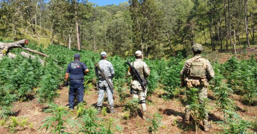 Gobierno de Nayarit refuerza presencia en La Yesca y avanza en acciones de seguridad y bienestar