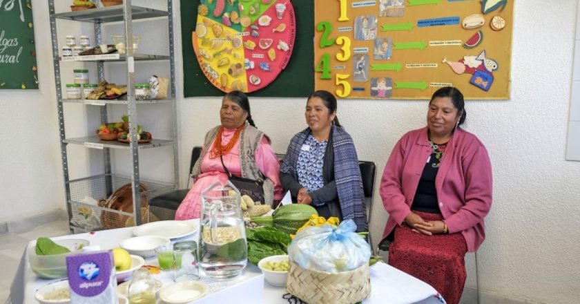 Garantiza IMSS atención con pertinencia cultural a mujeres indígenas; supera 1.2 millones de consultas en 2026