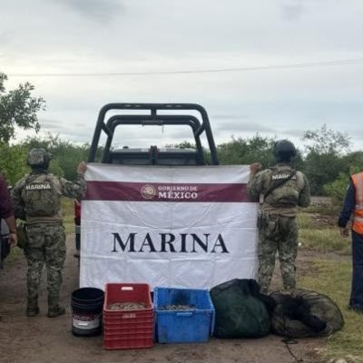 Acciones conjuntas de seguridad fortalecen la prevención y protección de las familias nayaritas