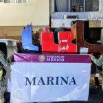 Destruyen explosivos y más de 51 mil plantas de marihuana en Nayarit 